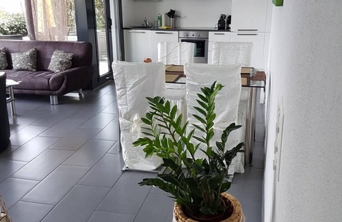 Brissago Apartment | Flat 'Bellavista' with mountain view