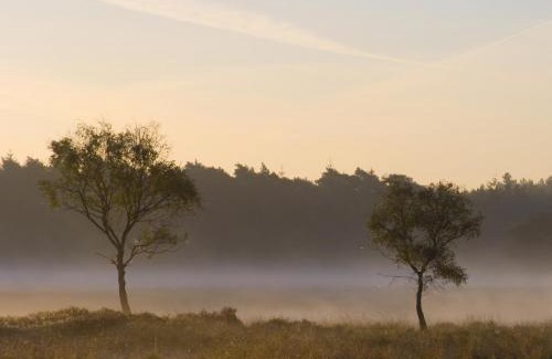 Reusel Hotel | Fletcher Hotel-Restaurant De Kempen