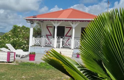 Saint-Louis House | Fleur d'Hibiscus