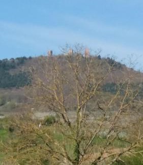 Eguisheim Apartment | Fleur de Vigne
