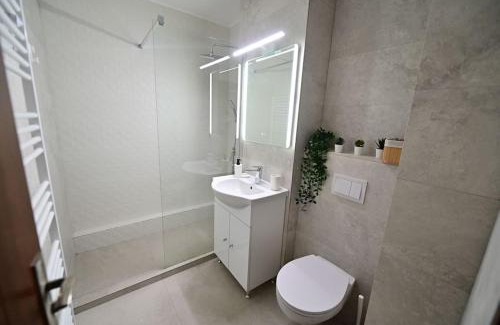 Sibiu Apartment | FLH - Apartament Damar Sibiu