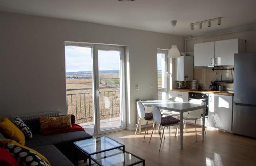 Sibiu Apartment | FLH - Pink Panther