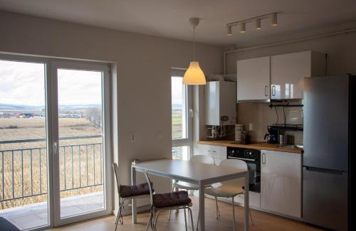 Sibiu Apartment | FLH - Pink Panther