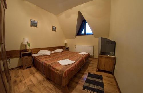 Cheia House | Floarea Soarelui