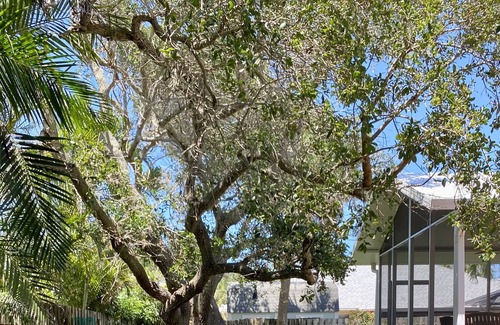 Floridana Beach House | Floridana Melbourne Beach Home; Short stroll to the Beach