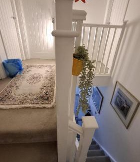 Colchester Bed & Breakfast | Flower