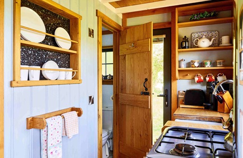 Trecastle Cabin | Flying Scotsman Shepherd's Hut with Hot Tub