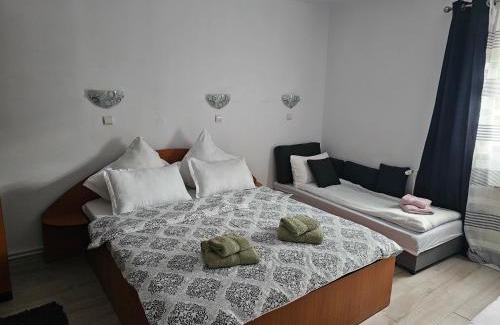 Busteni House | Foisor Vila