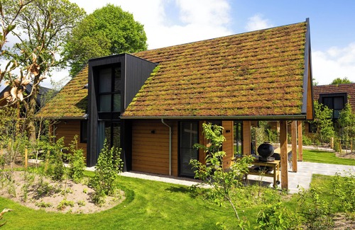 Wekerom House | Forest charm for six – 3 bedrooms with en-suites and a cozy, spacious vibe.