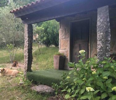 Covas House | Forest House casinha do Carvalhal