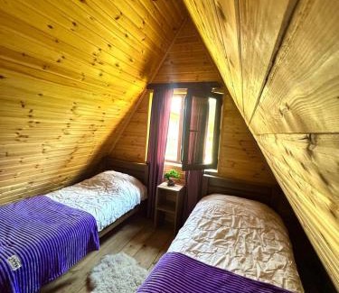 Likani Ski Chalet | Forest hut