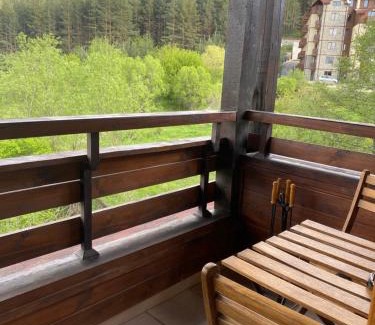 Shiligarnika Apartment | Forest View Apartment C34 Bansko