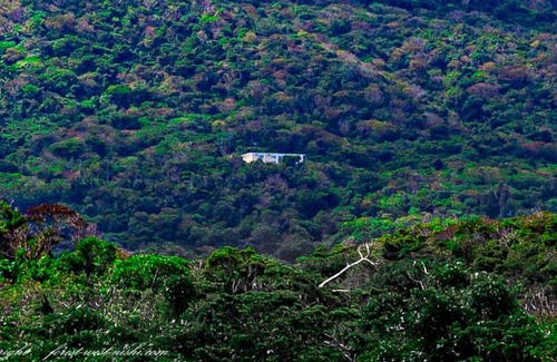 Jana House | Forest West Nishi