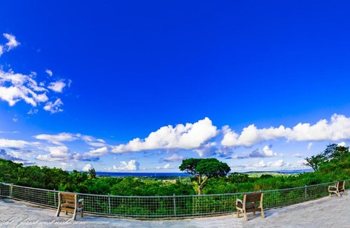 Jana House | Forest West Nishi