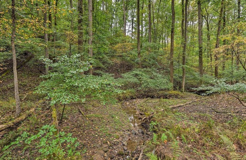 Reisterstown Apartment | Forested Couples Retreat: 20 Miles to Baltimore!