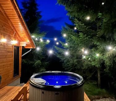 Calatele Ski Chalet | Forestia - Modern cabin with hot tub and sauna