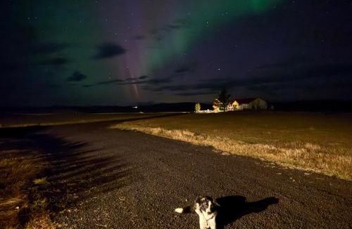 Kirkjubaejarklaustur Villa | Fossar Villa