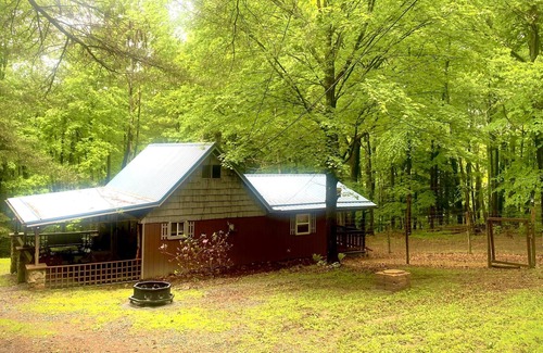 Weedville House | Four-bedroom private Lodge in the heart of Elk country