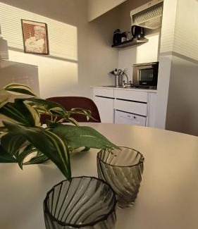 Aalborg Apartment | Free Parking Center Of The City Studio Aalborg