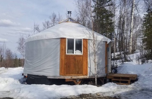 Big Lake Apartment | Fully-Furnished Eureka Yurt 3 🌲 at Alaska Dogstead
