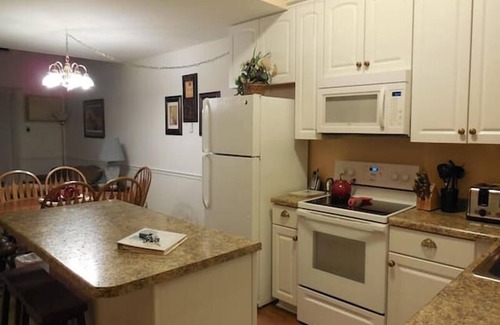 Wisconsin Dells Condo | Fun Stays @ The Dells Club, 3BR/2Ba Condo with Riverview!