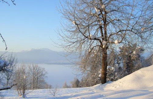 Keutschach am See Apartment | Gästehaus Auf der Höhe