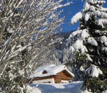 Muehlbach Am Hochkoenig Apartment | Gästehaus Gschwandtner