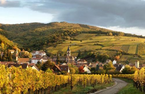 Ribeauville House | Gîte Au Coeur De Ribeauvillé