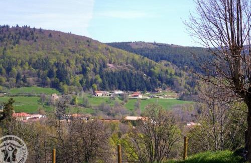 La Versanne House | Gîte authentique avec cheminée et animaux acceptés - FR-1-496-127