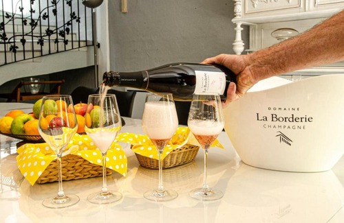 Bar-sur-Seine House | Gîte Bar-sur-Seine, 6 pièces, 14 personnes - FR-1-543-132