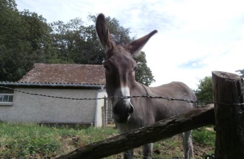 La Fleche Bed & Breakfast | Gîte Bois Gaillard