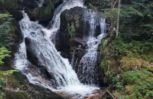 Saint-Priest-la-Prugne House | Gîte chaleureux avec terrasse en pleine nature - Parfait pour 4 personnes - FR-1-496-348