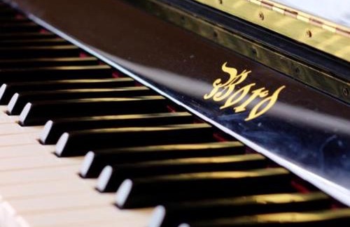 Saint-Nizier-de-Fornas House | Gîte charmant en pierre avec grand terrain - Capacité 6 pers. - FR-1-496-259