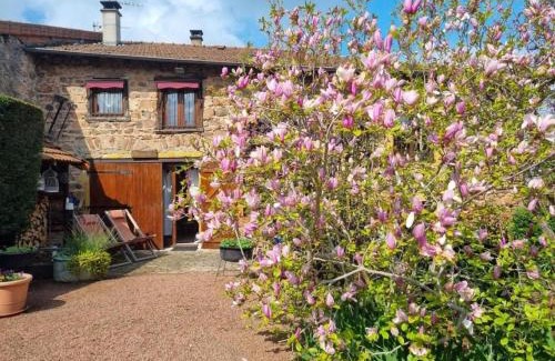 Cuinzier House | Gîte charmant à Cuinzier avec jardin, animaux acceptés - FR-1-496-183