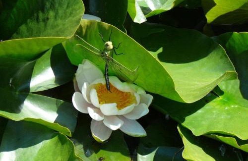 Pralong House | Gîte charme campagne à Pralong avec WiFi - 4 pers. - FR-1-496-117