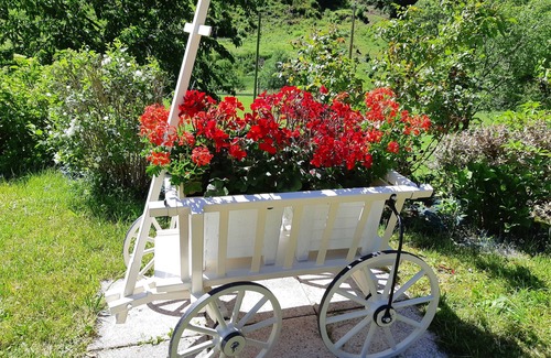 Sainte-Marie-aux-Mines House | Gîte chez Jean-Pierre " LES HIRONDELLES" F2- 100€ for1 night (2nights min)