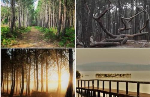 Onesse-et-Laharie Apartment | Gîte chez Kaky