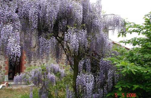 Touvois House | Gîte climatisé de La Haute Rue