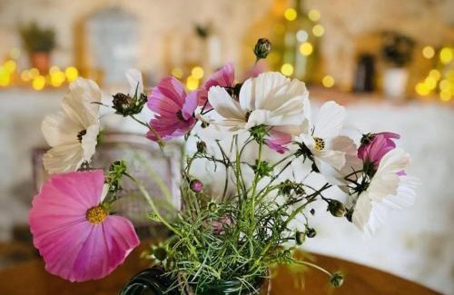 Montaigu-le-Blin House | Gîte de charme avec spa et cheminée, proche Vichy - FR-1-489-522