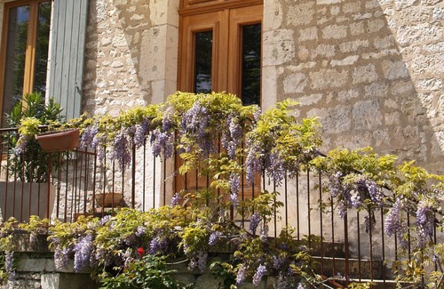Lalbenque House | Gîte de Charme dans le Lot - 110m2 - Swimming pool and Jacuzzi - 6 pers