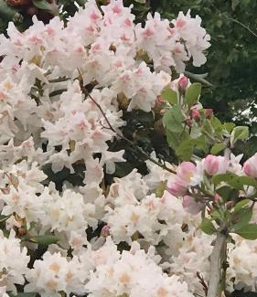 Lannion House | Gîte De L'alliance