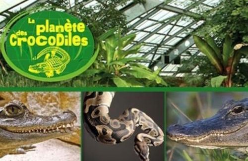 Valdivienne House | Gîte des Lavandières en bordure de Vienne (Civaux)