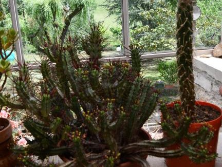 Mostuejouls House | Gîte Domaine du Théron