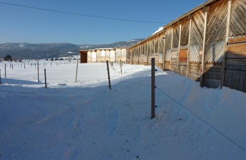 Les Angles House | Gîte Equisud - Demi-pension inclus