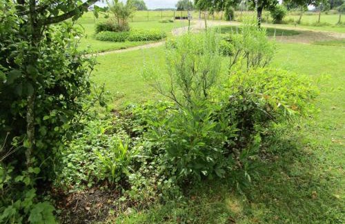 Channay-sur-Lathan House | Gîte familial avec grand jardin, près des Châteaux de la Loire et activités nautiques - FR-1-381-494