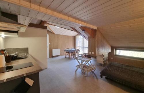 La Versanne House | Gîte familial paisible avec cheminée, salle de jeux et terrasse - FR-1-496-280