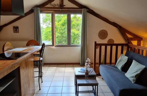 Paulin Apartment | Gîte L'Albizia