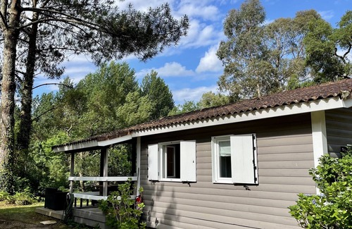 Soustons House | Gîte La Cabane Sous les Pins