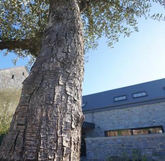 Anhee House | Gîte Les 3 Cubes