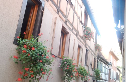 Turckheim Apartment | Gîte les cigogneaux